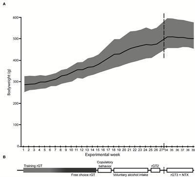 Individual strategies in the rat gambling task are related to voluntary alcohol intake, but not sexual behavior, and can be modulated by naltrexone